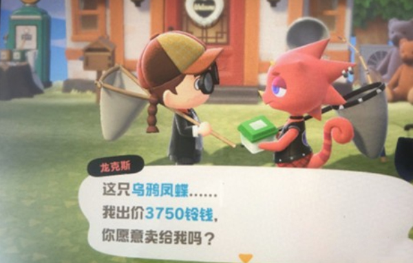 动物之森龙克斯攻略,昆虫高价卖